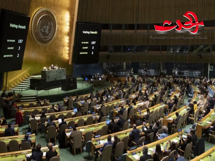 4 دول عربية تفقد حقها في التصويت في الجمعية العامة للأمم المتحدة لعدم تسديد حصصها في الميزانية