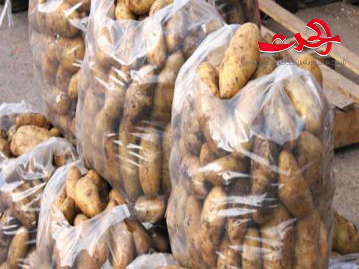 5 آلاف طن بطاطا مصرية في مرفأ طرطوس
