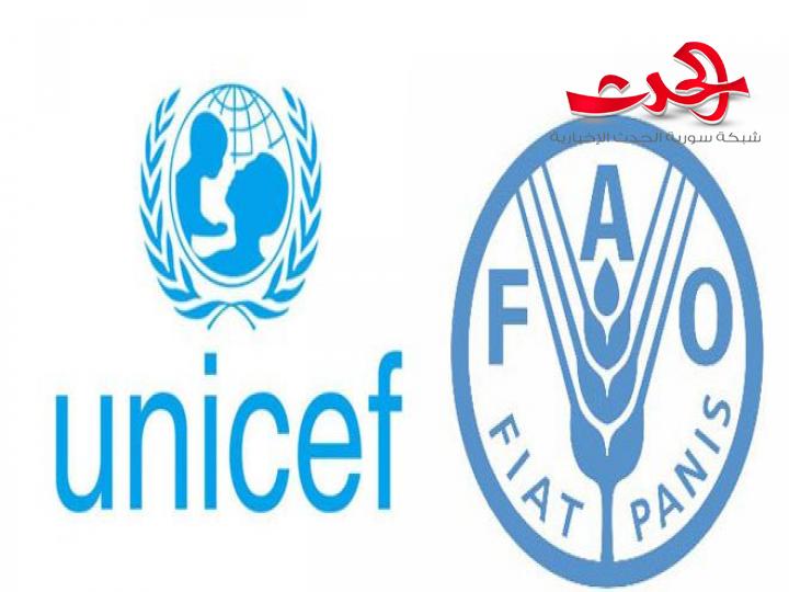 الأمم المتحدة والفاو تحذران من تفاقم أزمة الغذاء في الشرق الاوسط وافريقيا