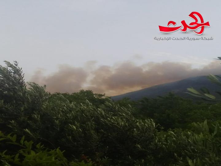 حراج دير ماما في مصياف تتعرض لحريق كبير 