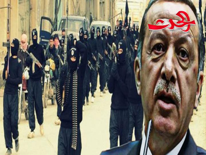 وثائق جديدة تثبت تورط أردوغان بالارهاب داخل سورية