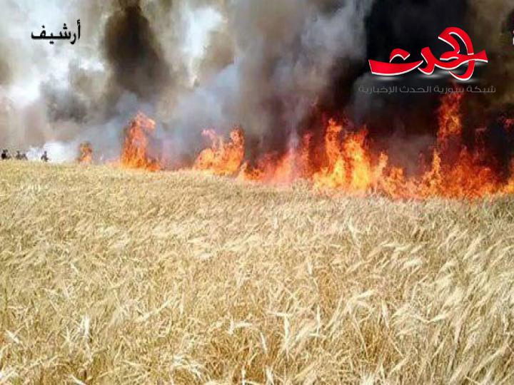 الحرائق تلتهم مواسم الحصاد في درعا