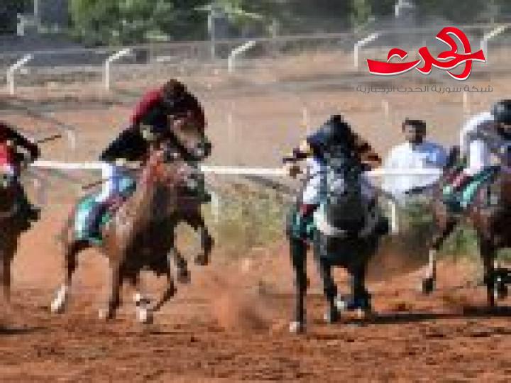 في جو من المنافسة القوية.. استئناف سباقات السرعة للخيول العربية الأصيلة