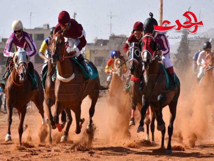 في جو من المنافسة القوية.. استئناف سباقات السرعة للخيول العربية الأصيلة