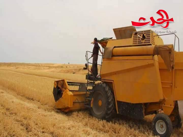الحكومة تقدم التسهيلات للفلاح لزراعة القمح وتبيعه ربطة الخبز بـ 50 ليرة لذا عليه بيع القمح للمؤسسة السورية للحبوب