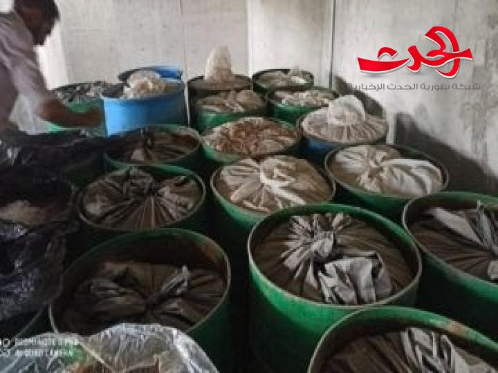 مواد غذائية فاسدة في ريف دمشق بزنة 10 أطنان