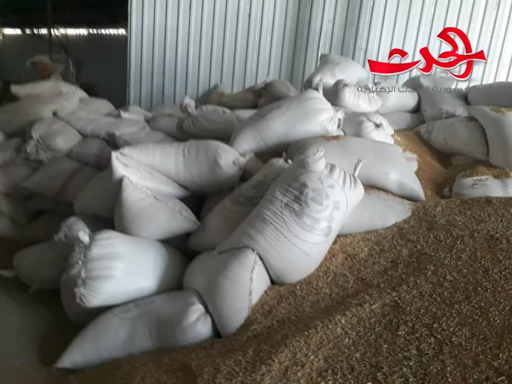 تموين ريف دمشق تضبط 10 أطنان من القمح المحلي في معمل معكرونة