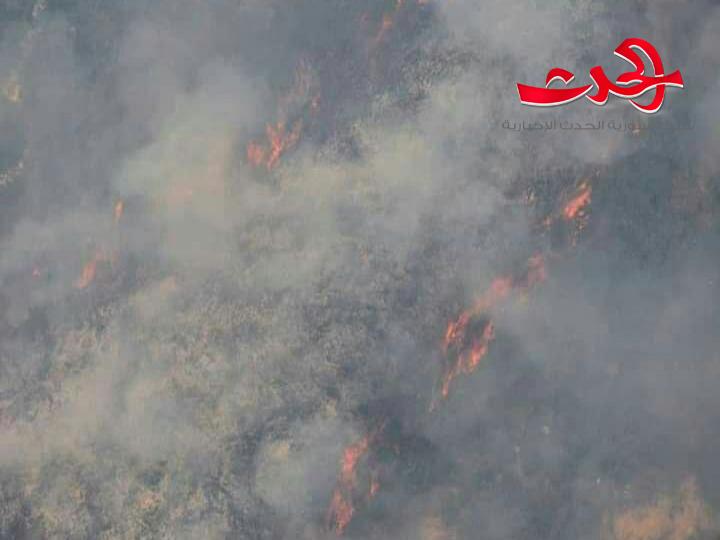 إخماد حريق كبير في أحراج بعيون… والنيران تتجدد في أحراش قرب علي بريف حمص الغربي