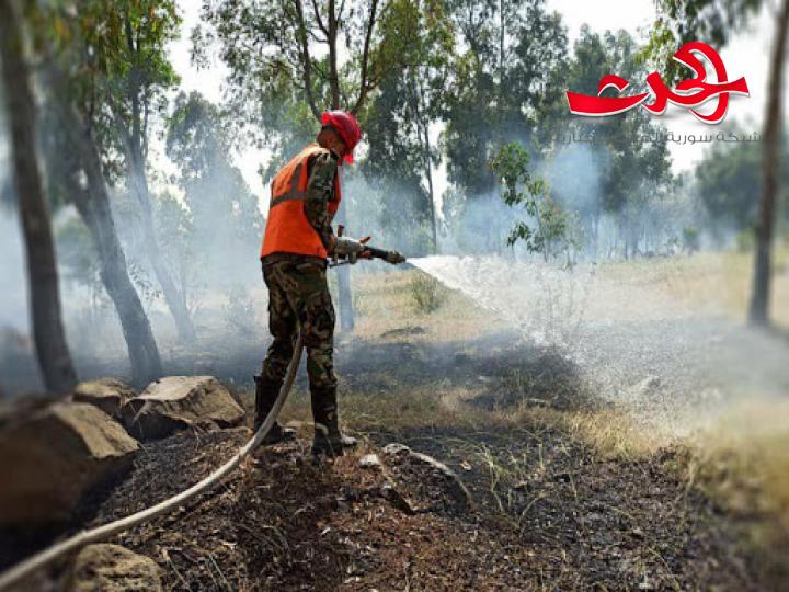 3800 دونم أضرار الأشجار المثمرة نتيجة الحرائق بحمص