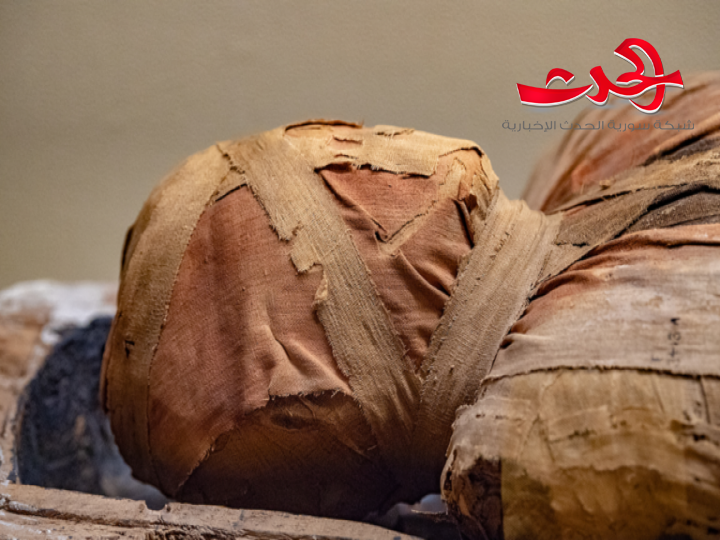 إعادة بناء وجه مومياء مصرية يقدم صورة دقيقة لما كان عليه