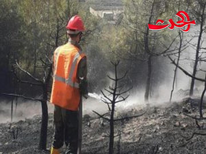 إخماد ثلاثة حرائق طالت أشجاراً حراجية بريف حمص الغربي