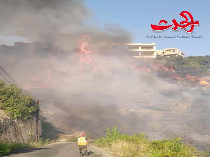 الحرائق تلتهم أحراج ريف حمص الغربي في سوريا