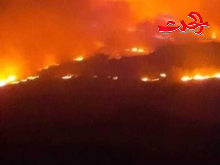 لمساندة المتضررين من الحرائق...غرفة صناعة دمشق وريفها تطلق مبادرة برداً وسلاماً سورية