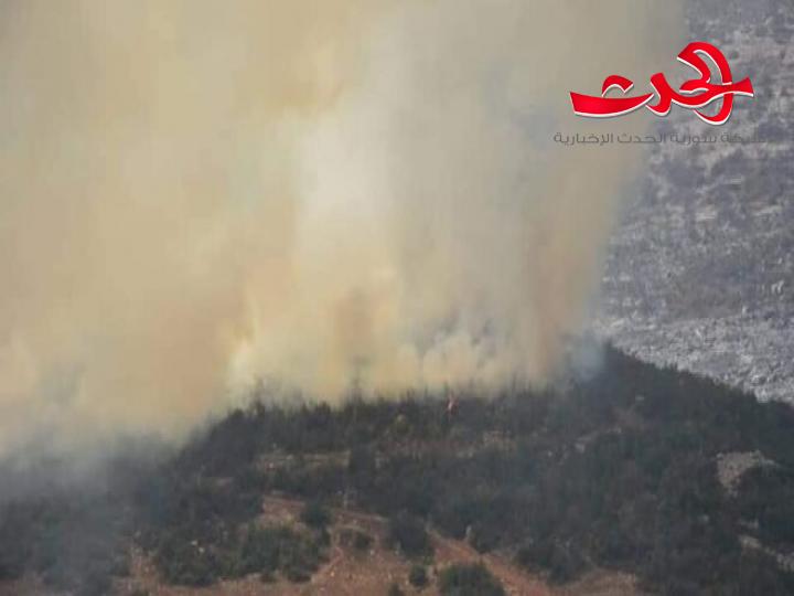 محافظ حمص : إخماد جميع حرائق ريف حمص الغربي.. وحريق جبال البلعة قيد السيطرة