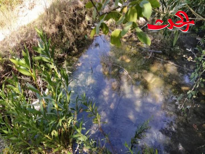 مياه حماة تتبرأ إصابات الكبد الوبائي بوادي العيون.. والصحة: بسبب ينبوعين ملوثين