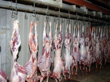 ما هي اسباب ارتفاع اللحوم في السوق السورية؟