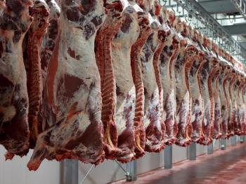 محافظة دمشق تحمّل الجمارك مسؤولية ارتفاع أسعار اللحوم