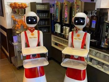 روبوتات في مطاعم هولندا كنادل لتقديم الخدمة