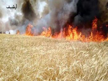 الحرائق تلتهم مواسم الحصاد في درعا
