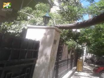 إعادة تأهيل منصف الياسمين وإزالة الأشجار المتضررة في مدخل مشروع دمر