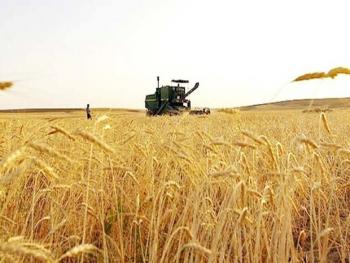 السورية للحبوب توقع عقدا مع روسيا لاستيراد 200 ألف طن من القمح