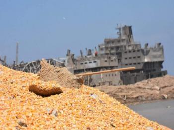 مدير «الحبوب»: لا تأثير لانفجار مرفأ بيروت على استيراد القمح في سورية