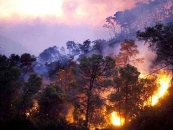 حريق كبير في جبل نبل الخطيب في الغاب