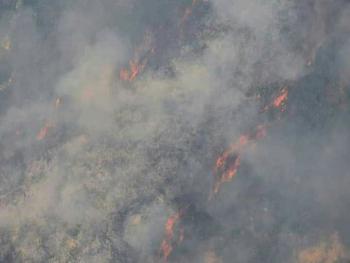 إخماد حريق كبير في أحراج بعيون… والنيران تتجدد في أحراش قرب علي بريف حمص الغربي