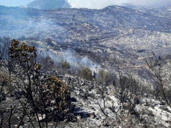 السيطرة على حريق غابات الفريكة بنسبة 75 بالمئة بعد التهامه مساحات كبيرة من الثروة الحراجية