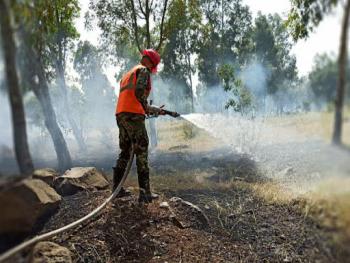 3800 دونم أضرار الأشجار المثمرة نتيجة الحرائق بحمص