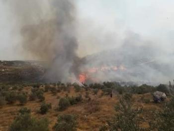 إخماد حريقين كبيرين و العمل على إطفاء حريق ثالث في وادي النضارى بحمص
