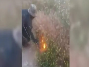 حقيقة فيديو: الشبان الذين يفتعلون الحرائق في الساحل السوري.. ؟
