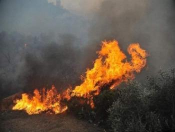 وزير الزراعة: دراسة كل أشكال المساعدات للمتضررين من الحرائق