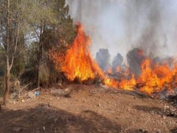 مقترحات لتقديم دعم مادي للشقق التي تضررت في طرطوس نتيجة الحرائق 