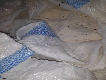 ضبط معمل حلويات يحتوي مواد فاسدة وبدون مواصفات في منطقة التل بريف دمشق