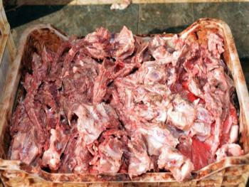 إتلاف أطنان من لحوم الدجاج الفاسدة في سوق اللحم بالزبلطاني