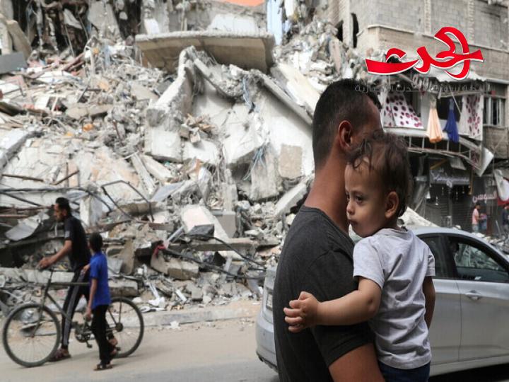 مجلس حقوق الإنسان : فتح تحقيق في جرائم ارتكبت خلال حرب غزة