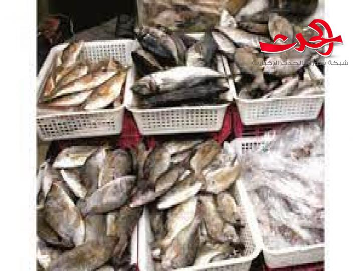 ارتفاع أسعار السمك في اللاذقية..وصيادون يهجرون المهنة؟!