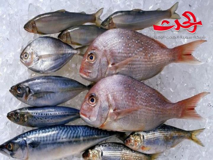 وزارة الصحة: تحذر من شراء الأسماك من الباعة الجوالين  