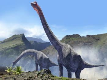 70 مليون سنة..اكتشاف آثار أقدام ديناصورات في مصر