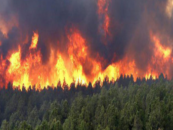 الحرارة إلى ارتفاع لتلامس 34 غداً و مخاوف من حرائق الغابات
