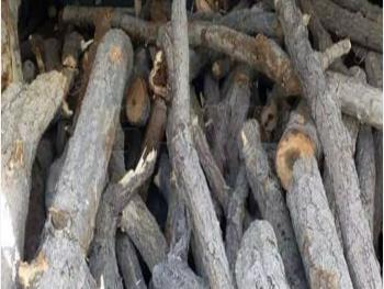 مصادرة أكثر من عشرة أطنان من الأخشاب في سهل الزبداني 