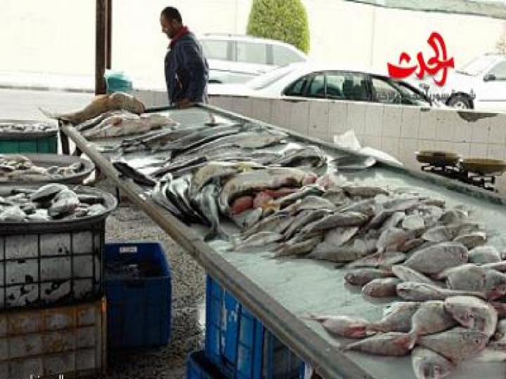 في ظل غياب الرادع الاخلاقي والاهمال وعدم المتابعة ثروتنا السمكية مهددة