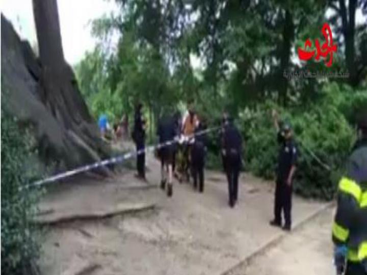 انفجار يهز الحديقة المركزية في نيويورك