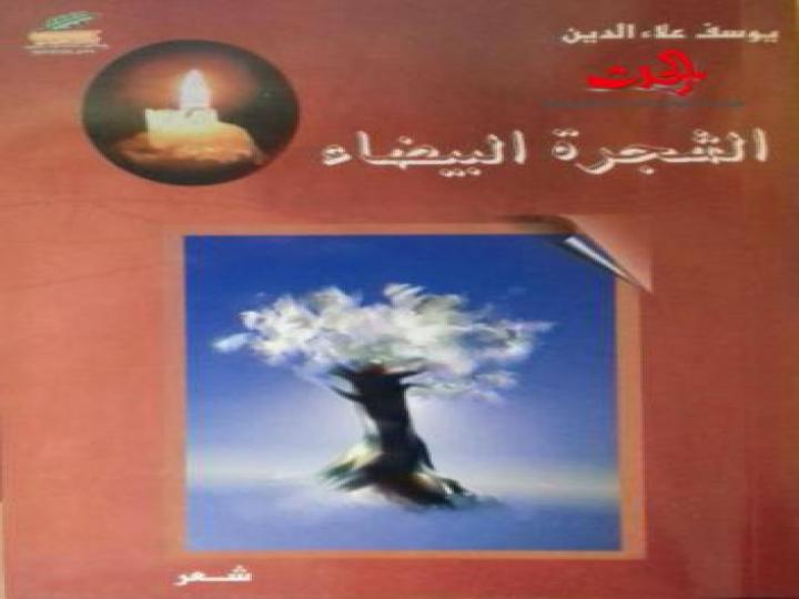 &quot;يوسف علاء الدين&quot; تطريز البؤس بالكتابة