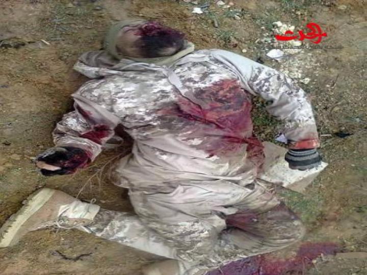 بالصور...غزوة حلب تنتهي على أسوار المدفعية والتسليح 