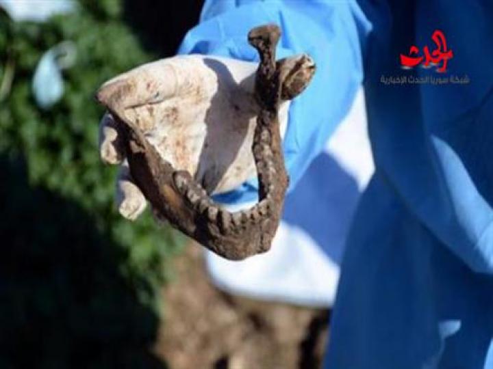 72 مقبرة جماعية لـ«داعش».. 15 ألف قتيل بين سوريا والعراق