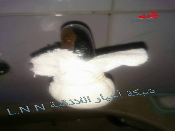 السيد رئيس مجلس الوزراء : حشرات وديدان في مياه الشرب باللاذقية 