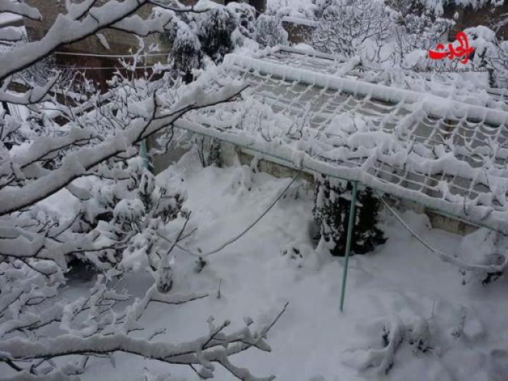 بالصور ...ثلوج مصياف