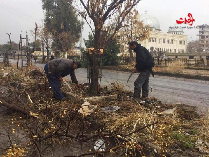 جهود حثيثة لشعبة الصيانة والحدائق في حلب 